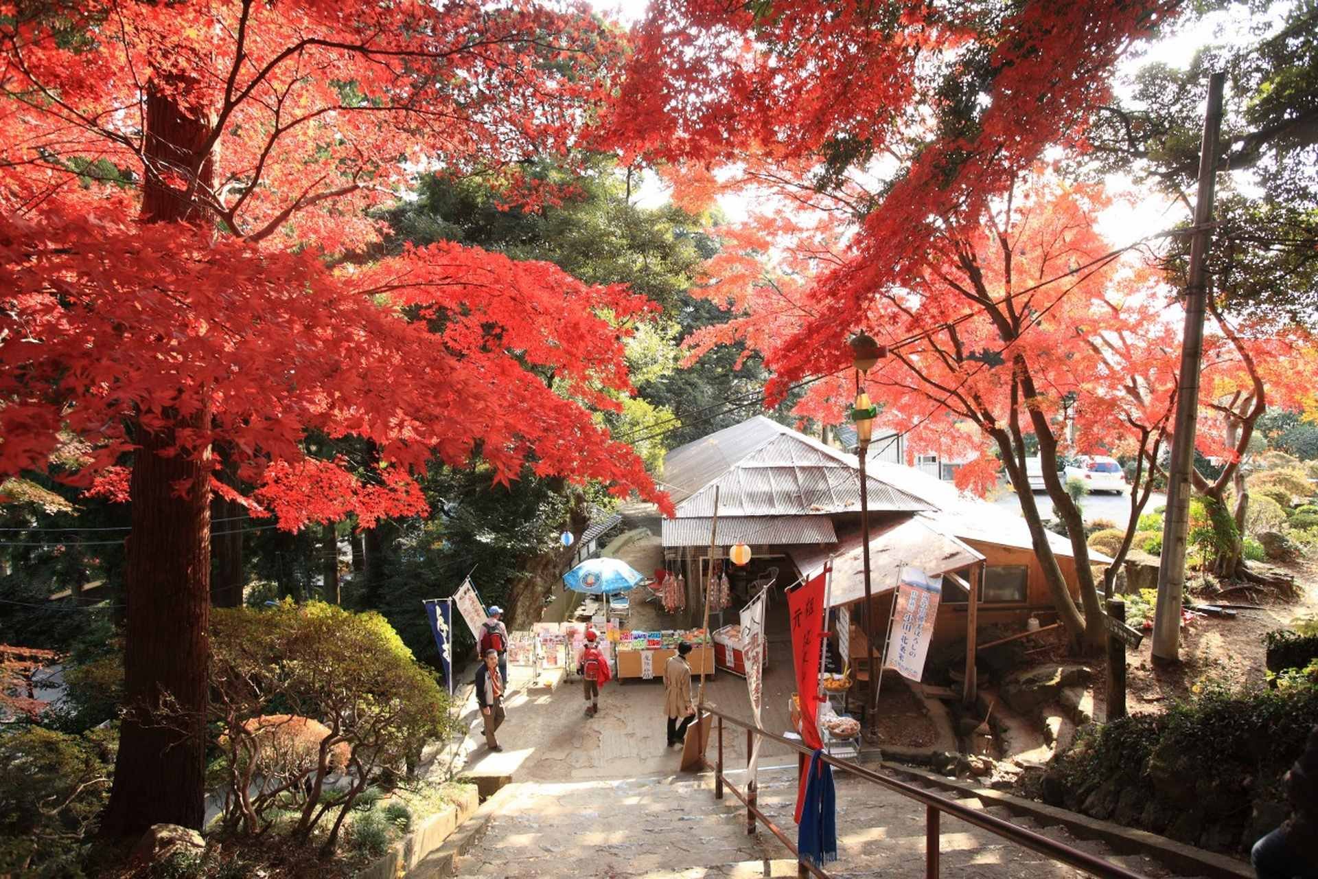 🚠 쓰쿠바산 케이블카 (츠쿠바산 케에부루카아) 이미지 1
